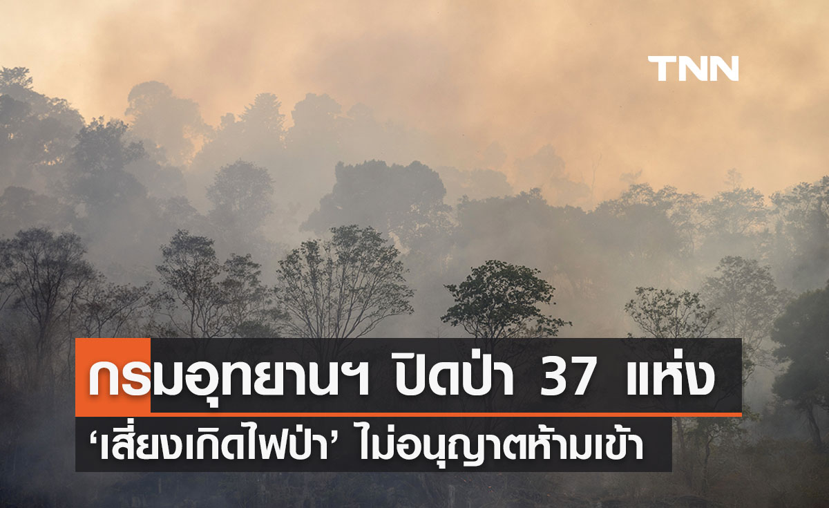 กรมอุทยานแห่งชาติ ปิดป่า 37 แห่งเสี่ยงเกิดไฟป่า 'ไม่อนุญาตห้ามเข้า'