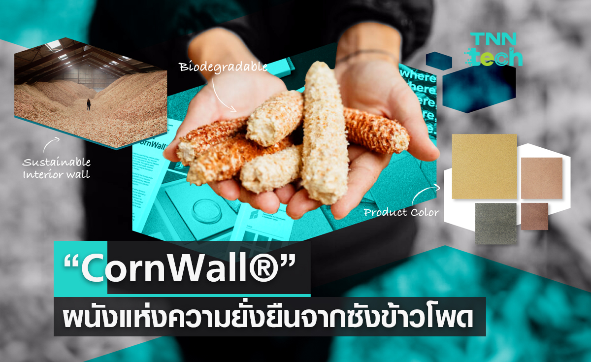 “CornWall®”  ผนังแห่งความยั่งยืน  จากเศษซังข้าวโพด