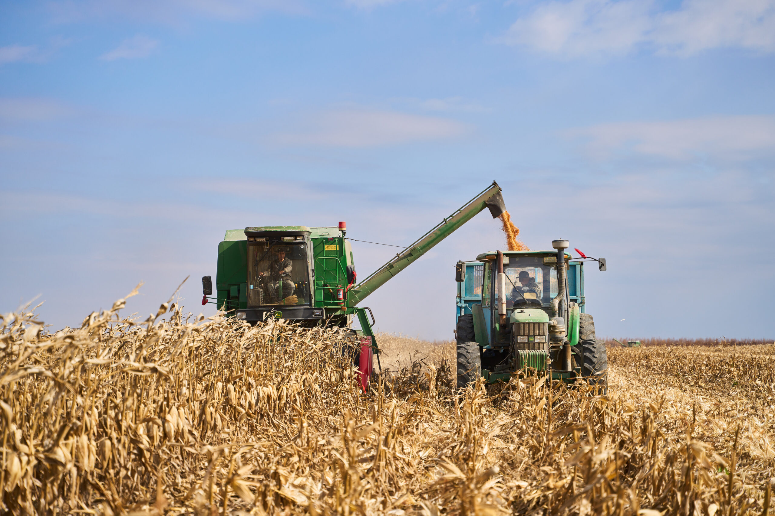 รัสเซียส่งออกสินค้าเกษตร ปี 2023 สูงแตะ 4.3 หมื่นล้านดอลล์