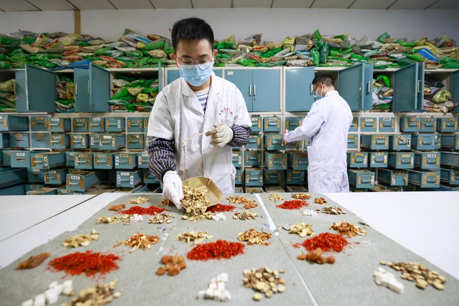 สำรวจพบวัตถุดิบปรุงยา 'แพทย์แผนจีน' ในจีน สูงกว่า 18,000 ชนิด