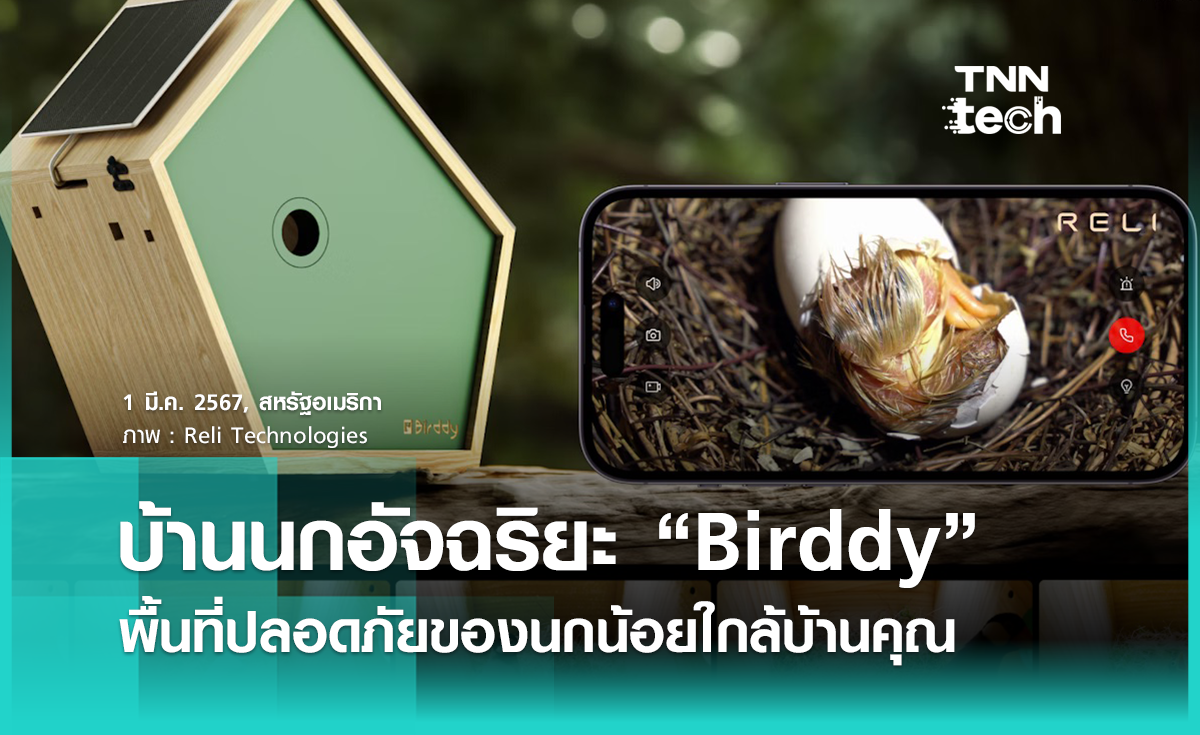 บ้านนกอัจฉริยะ “birddy” พื้นที่ปลอดภัยของนกน้อยใกล้บ้านคุณ