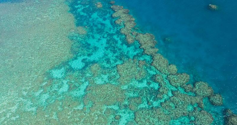 มลพิษทางภูมิอากาศ กำลัง 'ต้มสุก' แนวปะการังใหญ่สุดของโลกในออสเตรเลีย