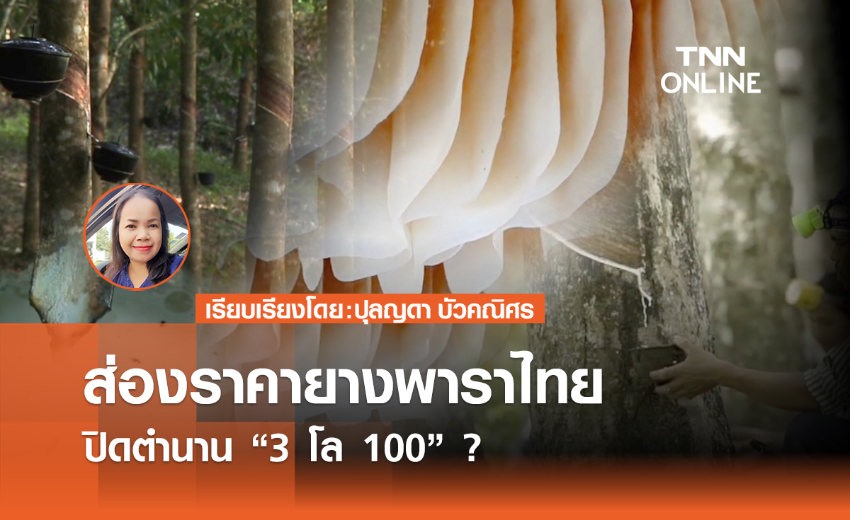 ส่องราคายางพาราไทย ปิดตำนาน “3 โล 100 “ ?