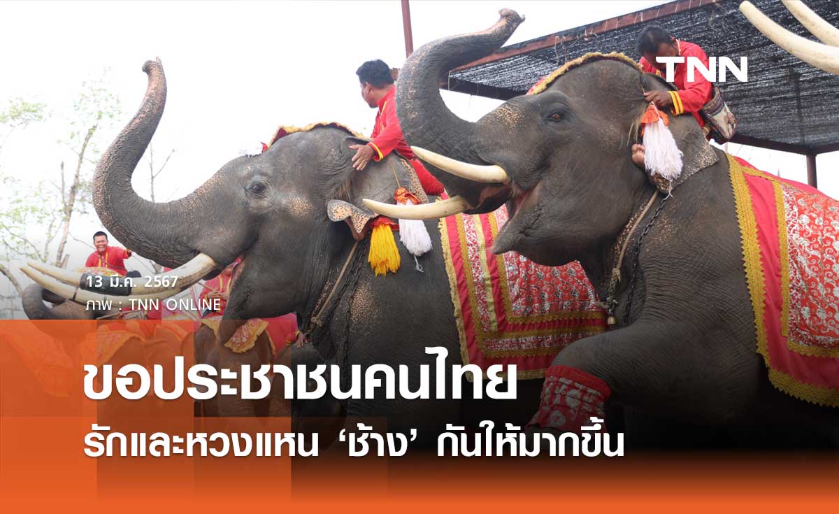 ‘วันช้างไทย’ 13 มีนาคม ของทุกปี ขอประชาชนคนไทย รักและหวงแหนช้างให้มากขึ้น