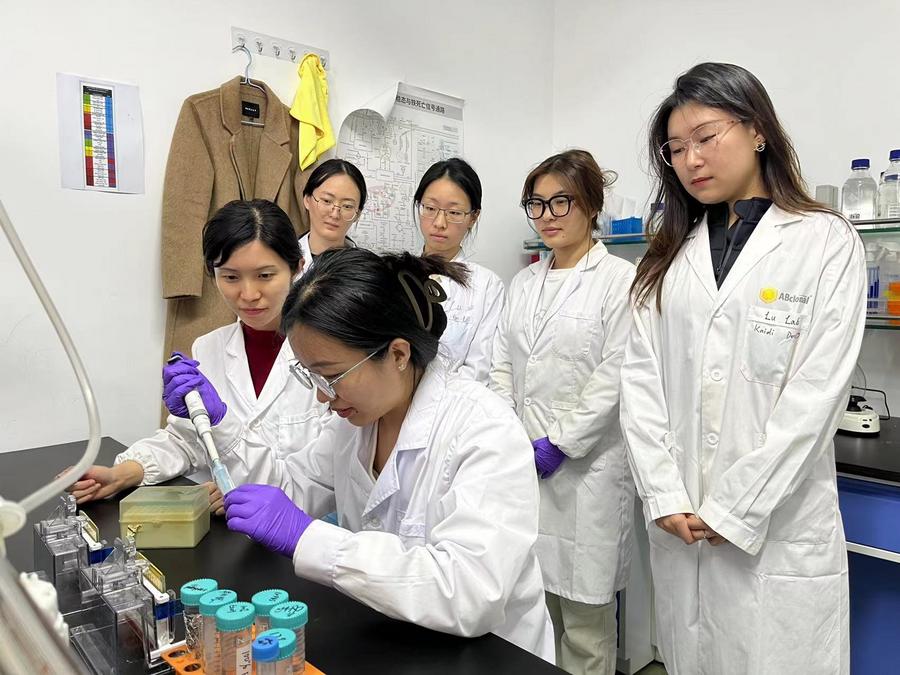 นักวิจัยจีนพัฒนาสารกระตุ้นภูมิคุ้มกันรักษา 'มะเร็งลำไส้ใหญ่'