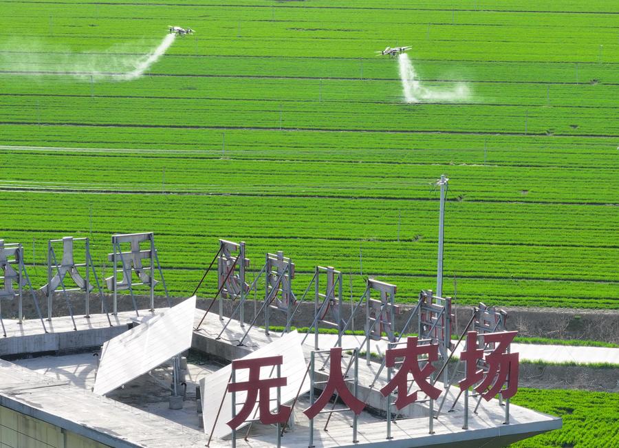เกษตรกรรุ่นใหม่งัดนวัตกรรม ช่วยงาน 'ฟาร์มอัจฉริยะ' ในอันฮุย