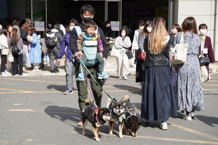 ตำรวจญี่ปุ่นดำเนินคดี 'ทารุณกรรมสัตว์' ปี 2023 สูงสุดเป็นประวัติการณ์
