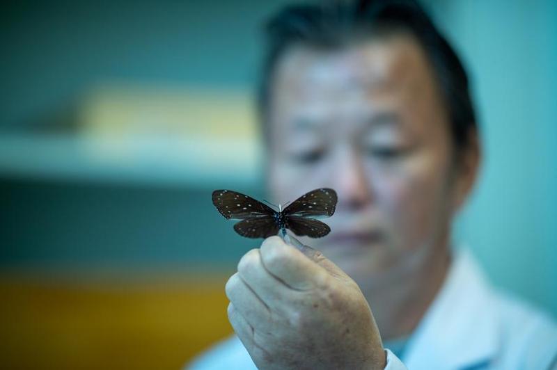 'ต๋าหวา' นักวิจัยแมลงหลากสายพันธุ์บนที่ราบสูงในทิเบต