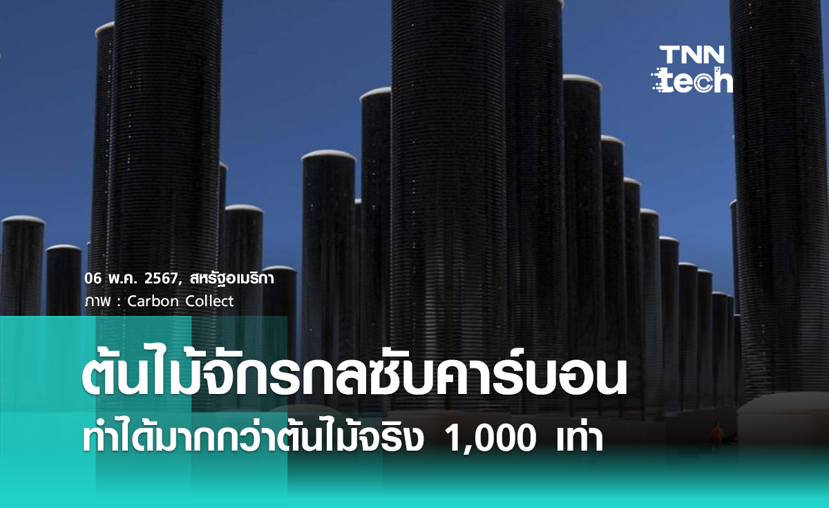 “ต้นไม้จักรกล” ดูดซับคาร์บอนไดออกไซด์ได้มากกว่าต้นไม้จริง 1,000 เท่า