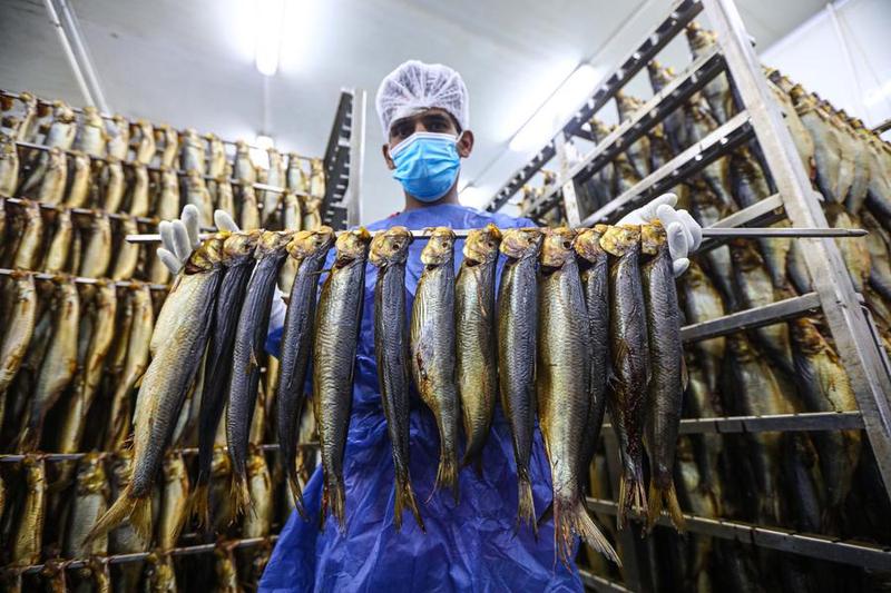 ส่องโรงงานผลิต 'ปลารมควัน' ในอียิปต์