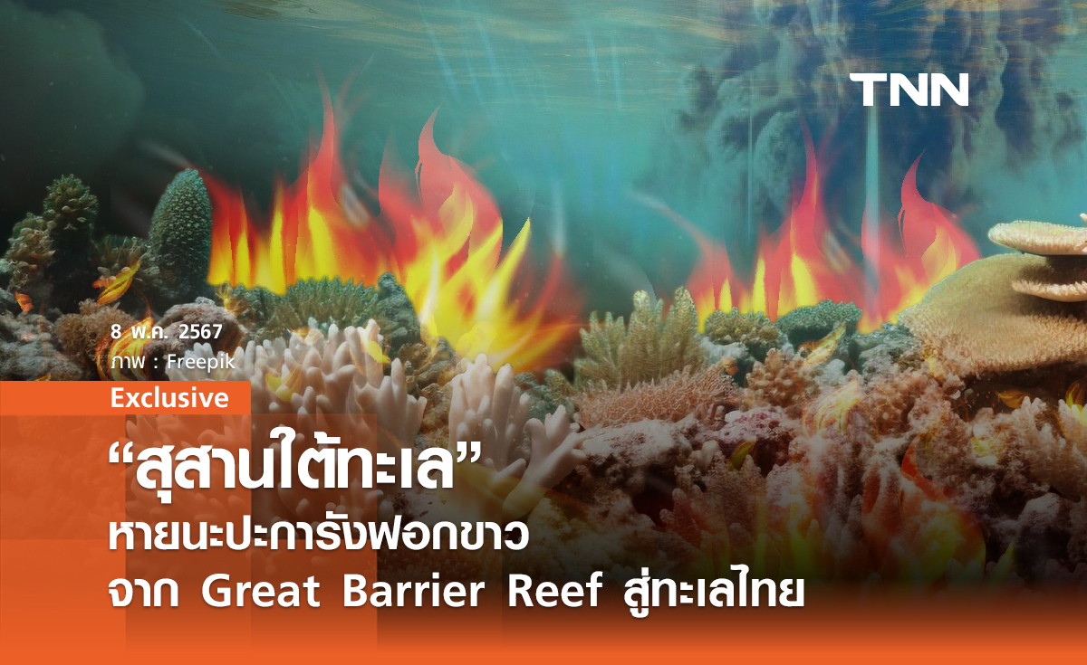 “สุสานใต้ทะเล” หายนะปะการังฟอกขาว จาก Great Barrier Reef สู่ทะเลไทย