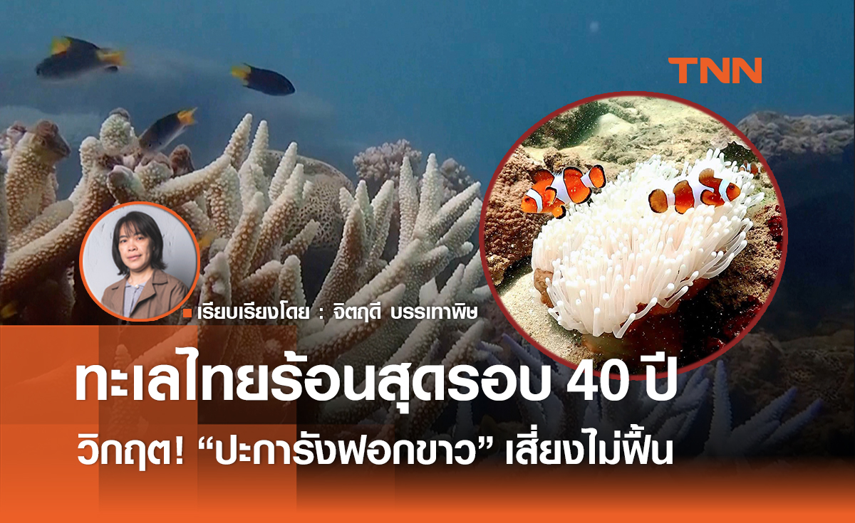 ทะเลไทยร้อนสุดรอบ 40 ปี วิกฤต ! ปะการังฟอกขาวเสี่ยงไม่ฟื้น