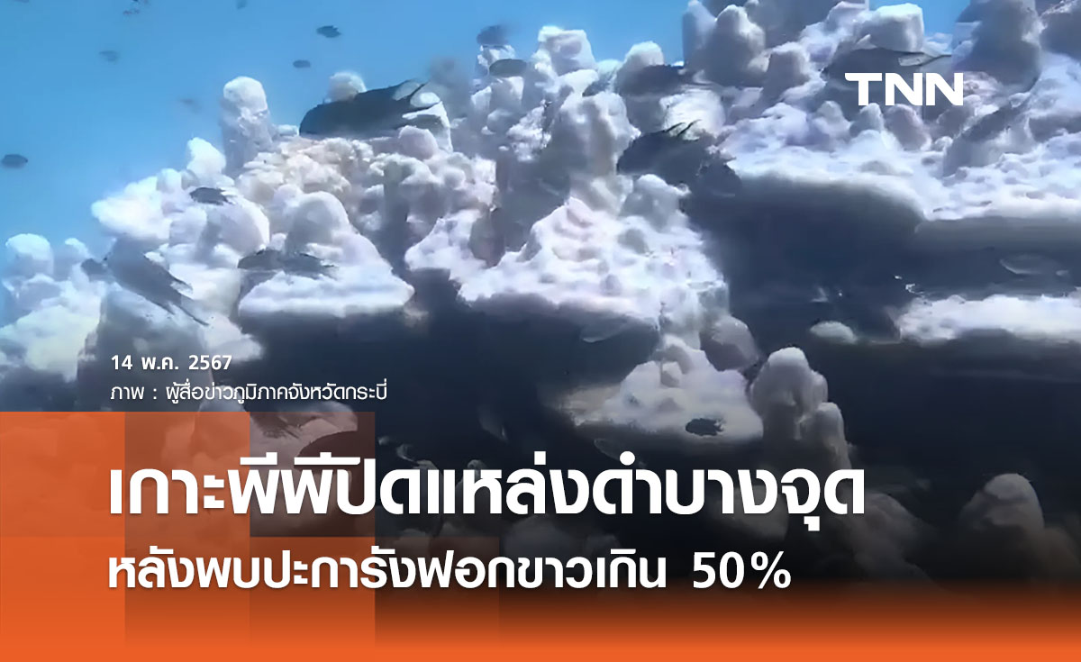 เกาะพีพีปิดแหล่งดำบางจุดชั่วคราว หลังปะการังฟอกขาวเกิน 50%