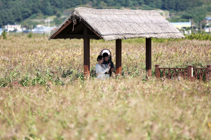 เกาหลีใต้เผยรายได้ 'ครัวเรือนเกษตร' พุ่งเป็นประวัติการณ์ในปี 2023
