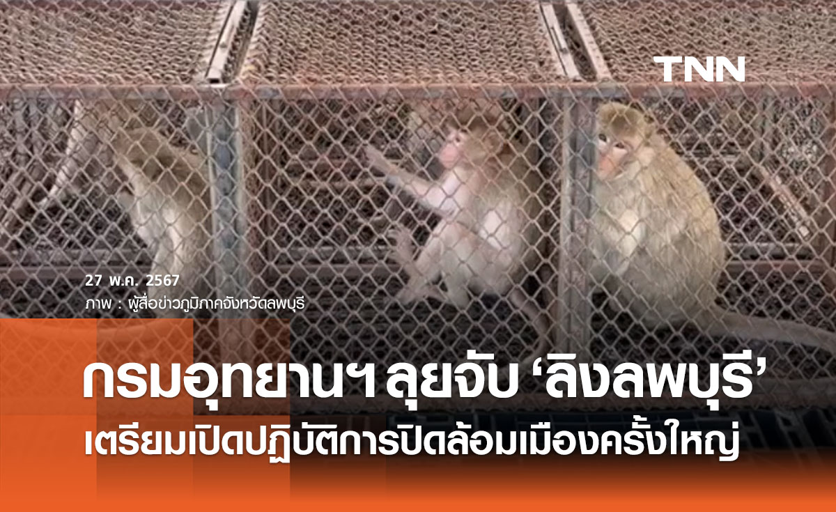 กรมอุทยานฯ ลุยจับ ‘ลิงลพบุรี’ รวบ 261 ตัว เตรียมปฏิบัติการครั้งใหญ่