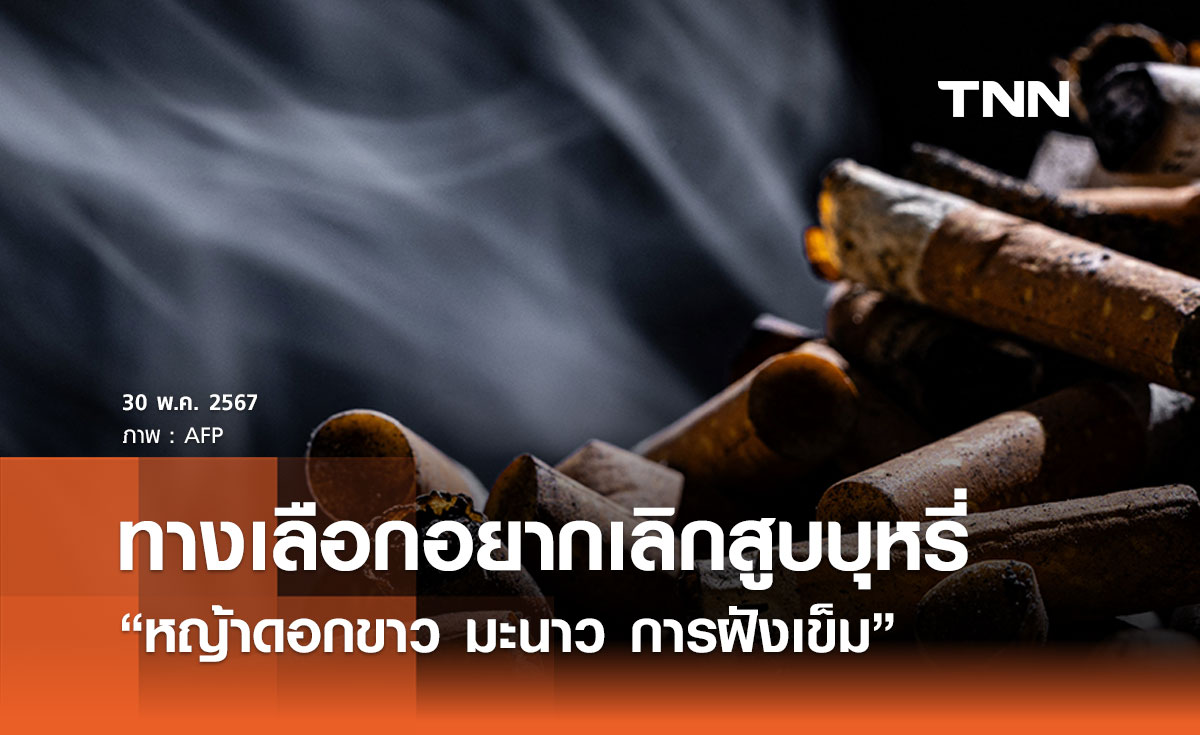 “หญ้าดอกขาว มะนาว ฝังเข็ม” ศาสตร์การแพทย์แผนไทยและจีน ทางเลือกอยากเลิกสูบบุหรี่