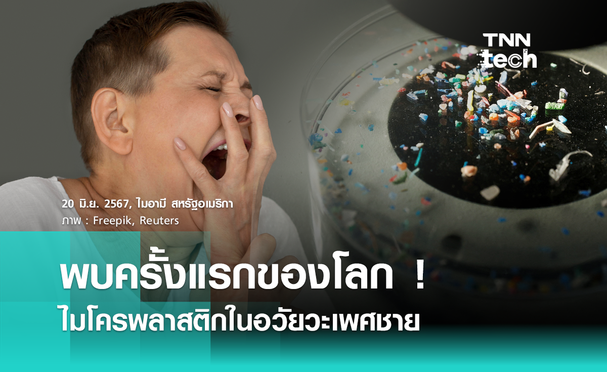 พบครั้งแรกของโลก ! ไมโครพลาสติกในอวัยวะเพศชาย