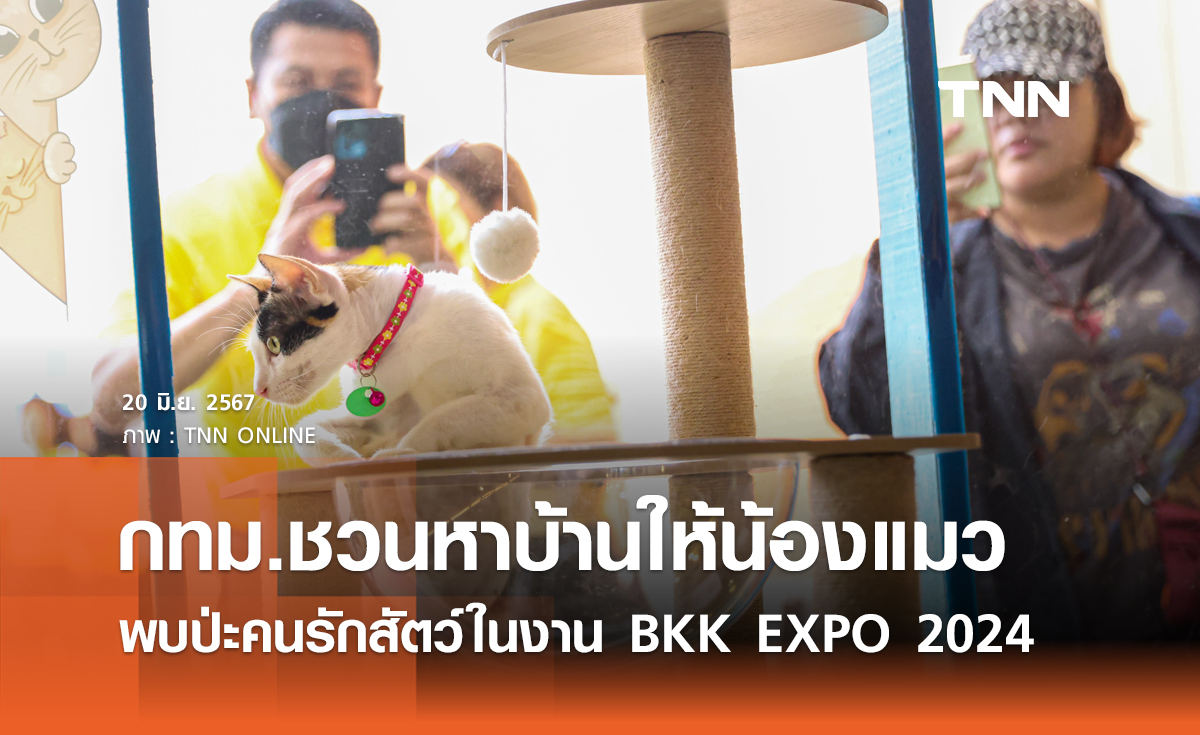 กทม.ชวนหาบ้านให้น้องแมว พบป่ะคนรักสัตว์ในงาน BKK EXPO 2024