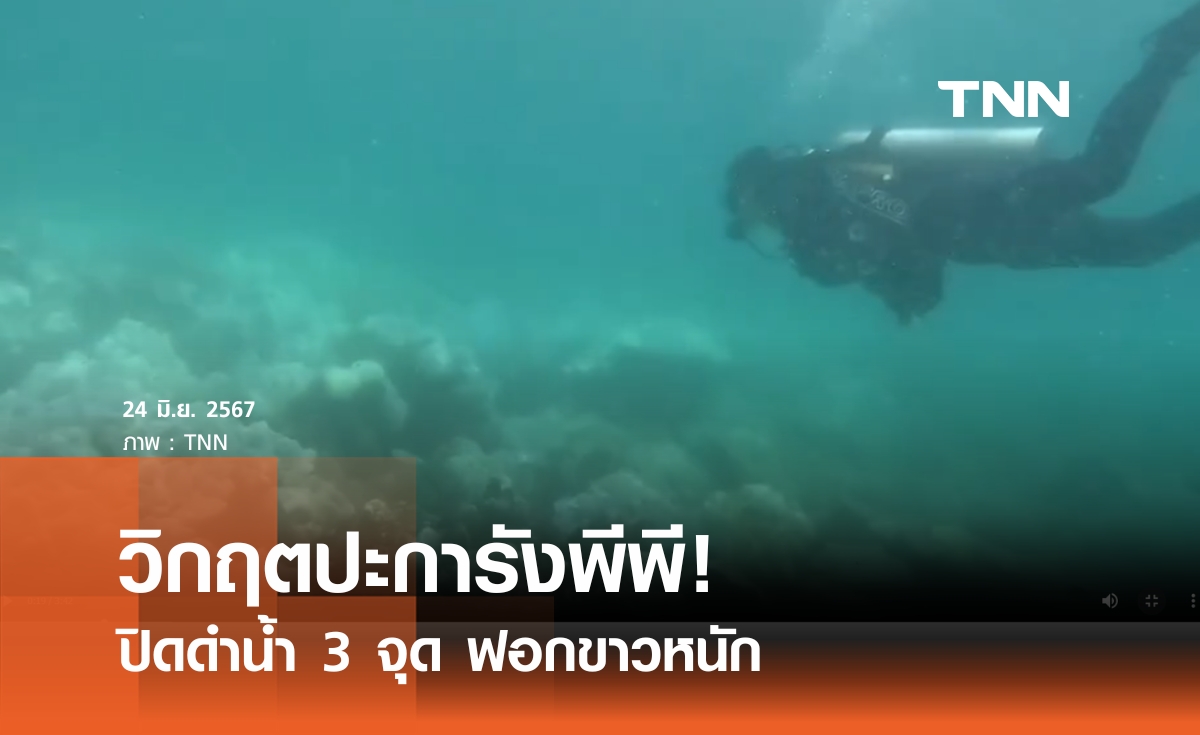 วิกฤตปะการังพีพี! ปิดดำน้ำ 3 จุด ฟอกขาวหนัก