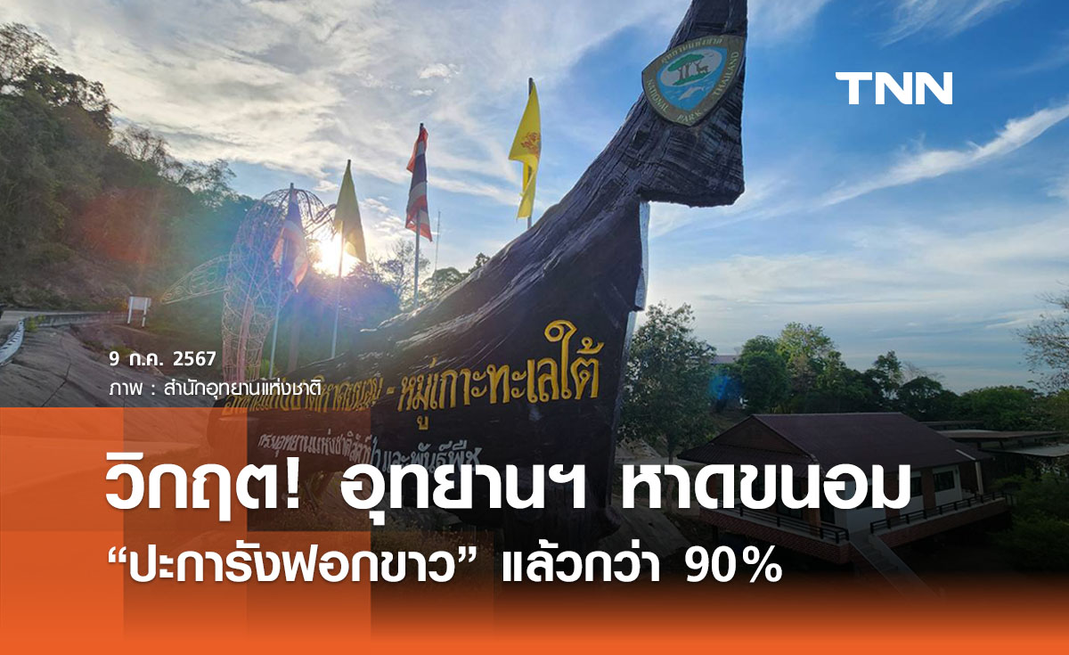 วิกฤตหนัก! อุทยานฯ หาดขนอม - หมู่เกาะทะเลใต้ ปะการังฟอกขาวกว่า 90%