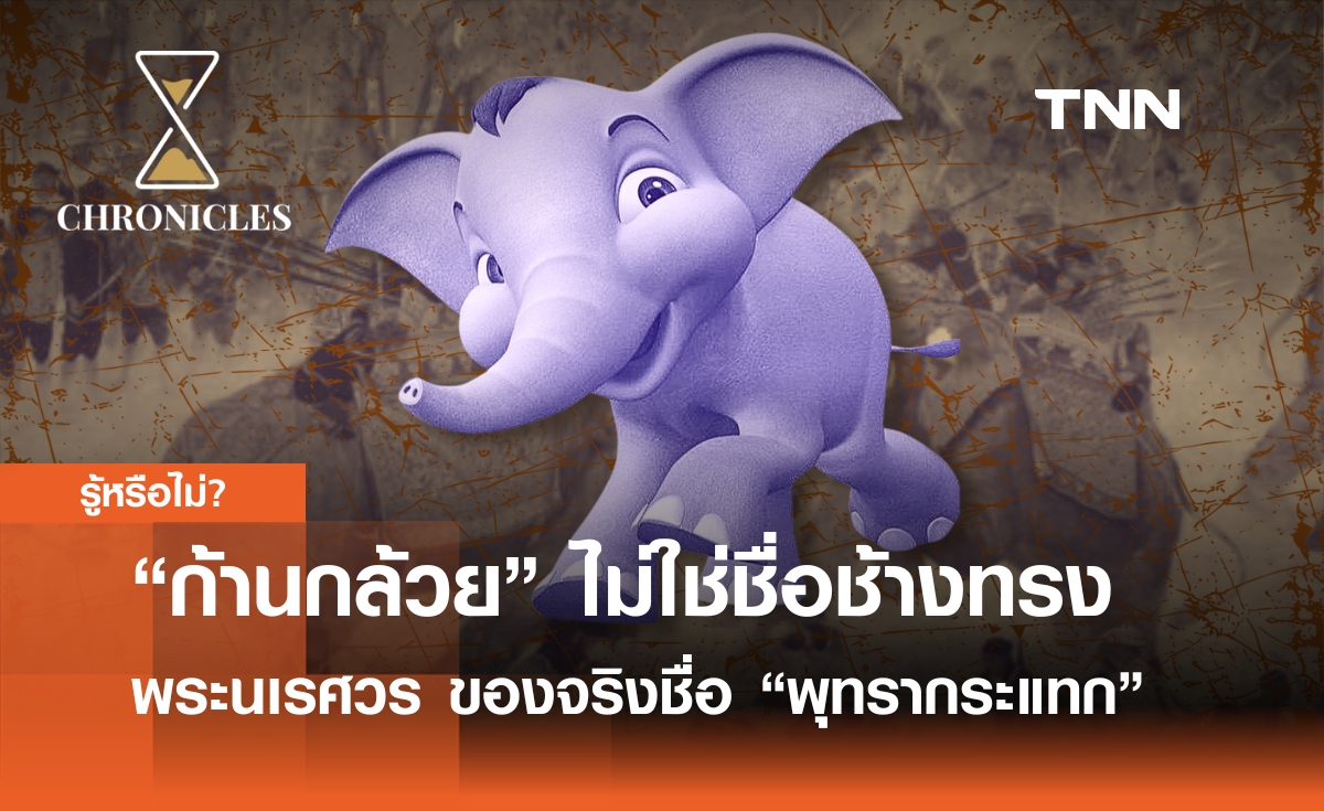 “ก้านกล้วย” ไม่ใช่ชื่อของช้างทรงสมเด็จพระนเรศวรมหาราช แต่เป็นชื่อ “พลายพุทรากระแทก” | Chronicles