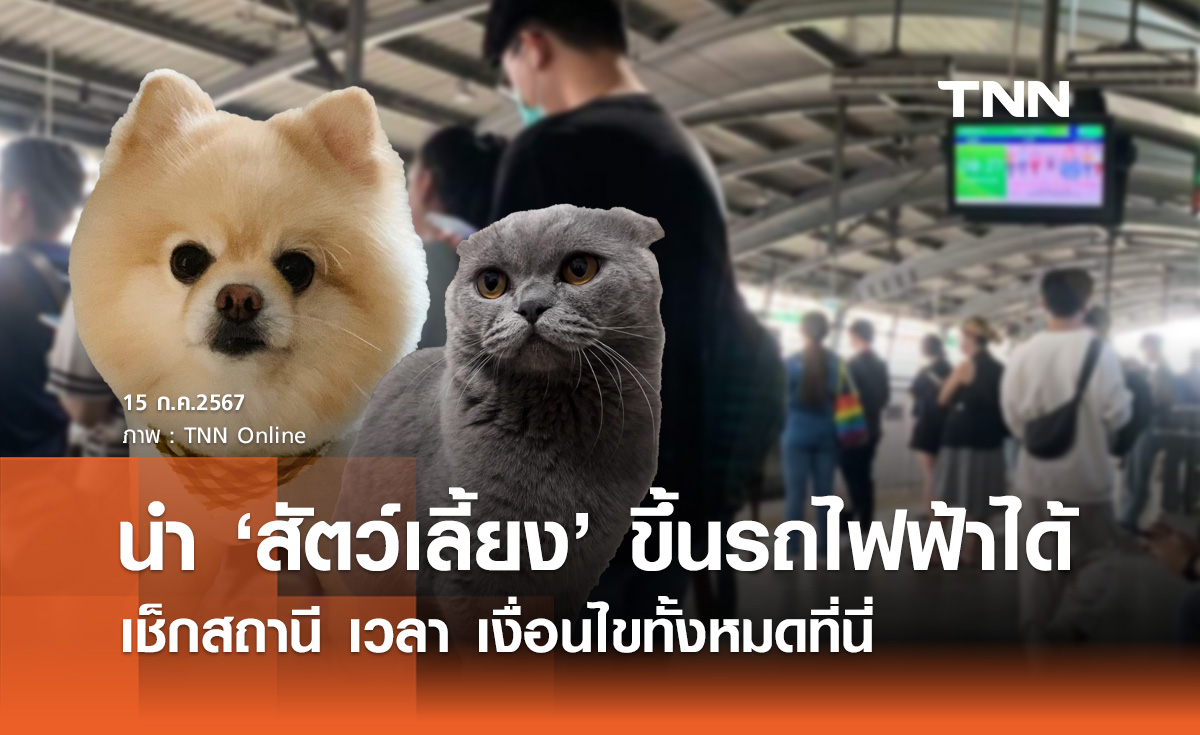 แอร์พอร์ตลิงก์ เปิดบริการพา "สัตว์เลี้ยง" ขึ้นรถไฟฟ้าได้ เช็กสถานี เวลา เงื่อนไขที่นี่