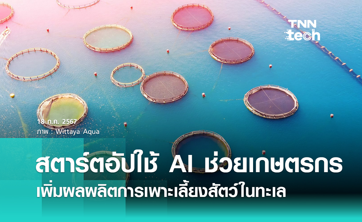 สตาร์ตอัป Wittaya Aqua ใช้ AI ช่วยเกษตรกรเพิ่มผลผลิตการเพาะเลี้ยงสัตว์ในทะเล