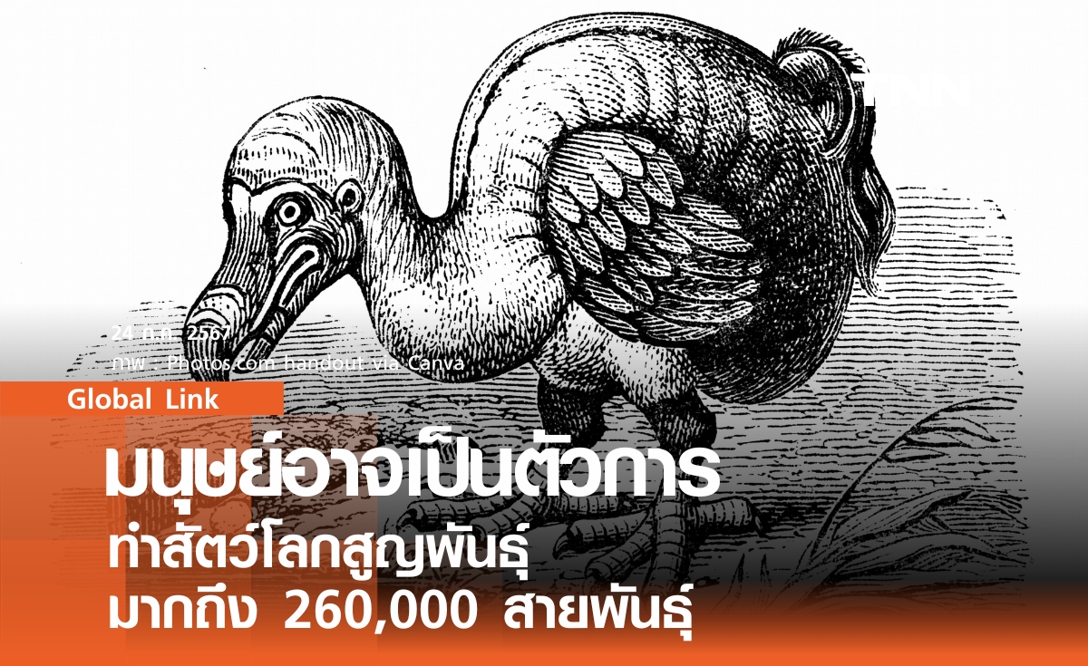 มนุษย์อาจเป็นตัวการ ทำสัตว์โลกสูญพันธุ์ มากถึง 260,000 สายพันธุ์