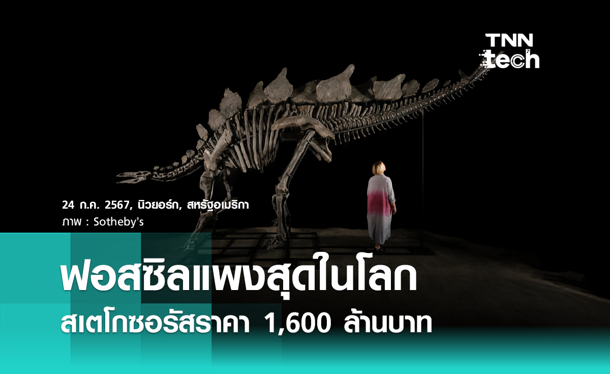 ฟอสซิลแพงสุดในโลก "สเตโกซอรัส" ราคา 1,600 ล้านบาท