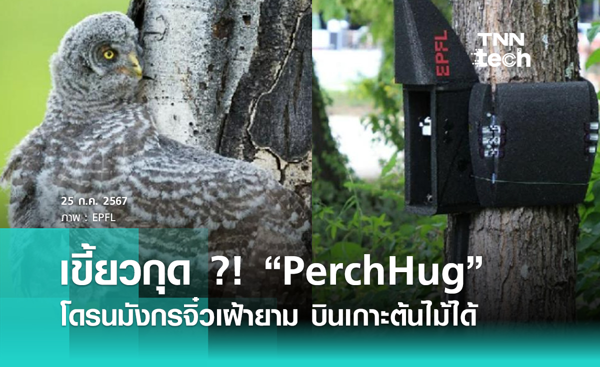 เขี้ยวกุด ?! “PerchHug” โดรนมังกรจิ๋วเฝ้ายาม บินเกาะต้นไม้ได้