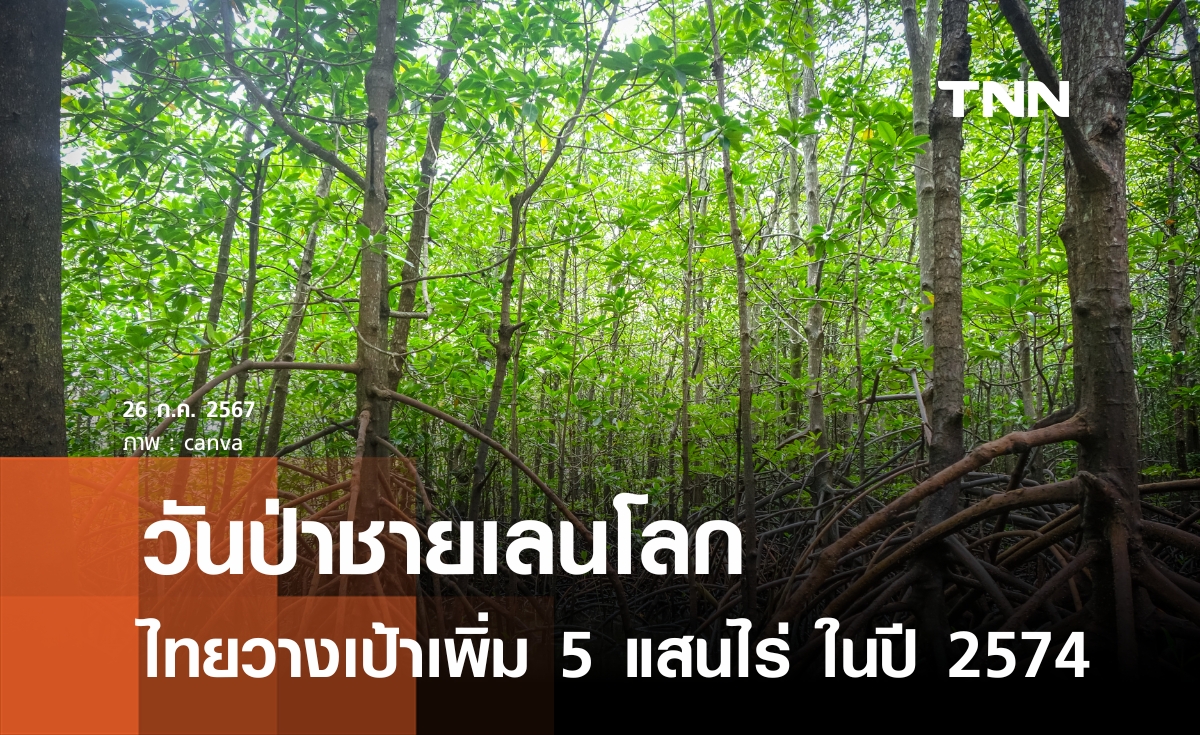 วันป่าชายเลนโลก ไทยวางเป้าเพิ่ม 5 แสนไร่ ในปี 2574