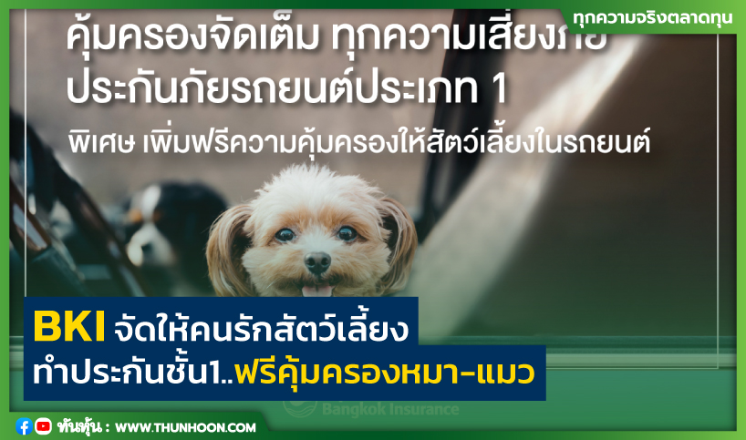 BKIจัดให้คนรักสัตว์เลี้ยง ทำประกันชั้น1..ฟรีคุ้มครองหมา-แมว