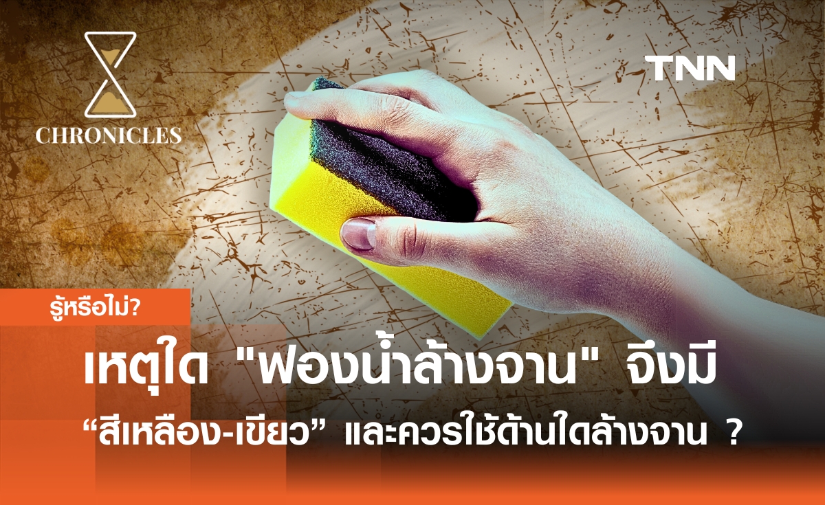 เหตุใด "ฟองน้ำล้างจาน" จึงมักจะมี “สีเหลือง-เขียว” และควรใช้ด้านใดล้างจาน ? | Chronicles