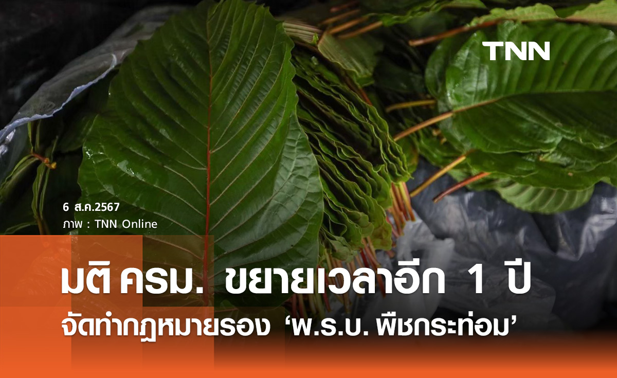 ครม. ขยายเวลาจัดทำกฎหมายลำดับรอง "พ.ร.บ.พืชกระท่อม" อีก 1 ปี