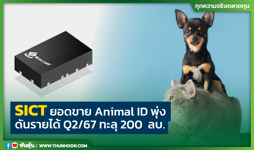 SICT ยอดขาย Animal ID พุ่ง  ดันรายได้ Q2/67 ทะลุ 200  ลบ.
