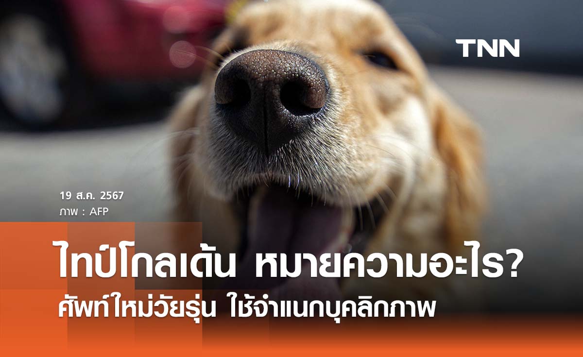 ไทป์โกลเด้น หมายความอะไร? ศัพท์ใหม่จำแนกบุคลิกภาพ