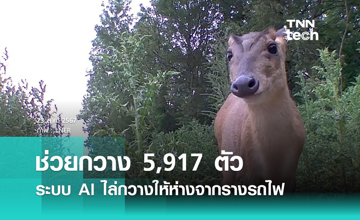 ช่วย “กวาง” ไปแล้ว 5,917 ตัว ระบบ AI ไล่กวางให้ห่างจากรางรถไฟ