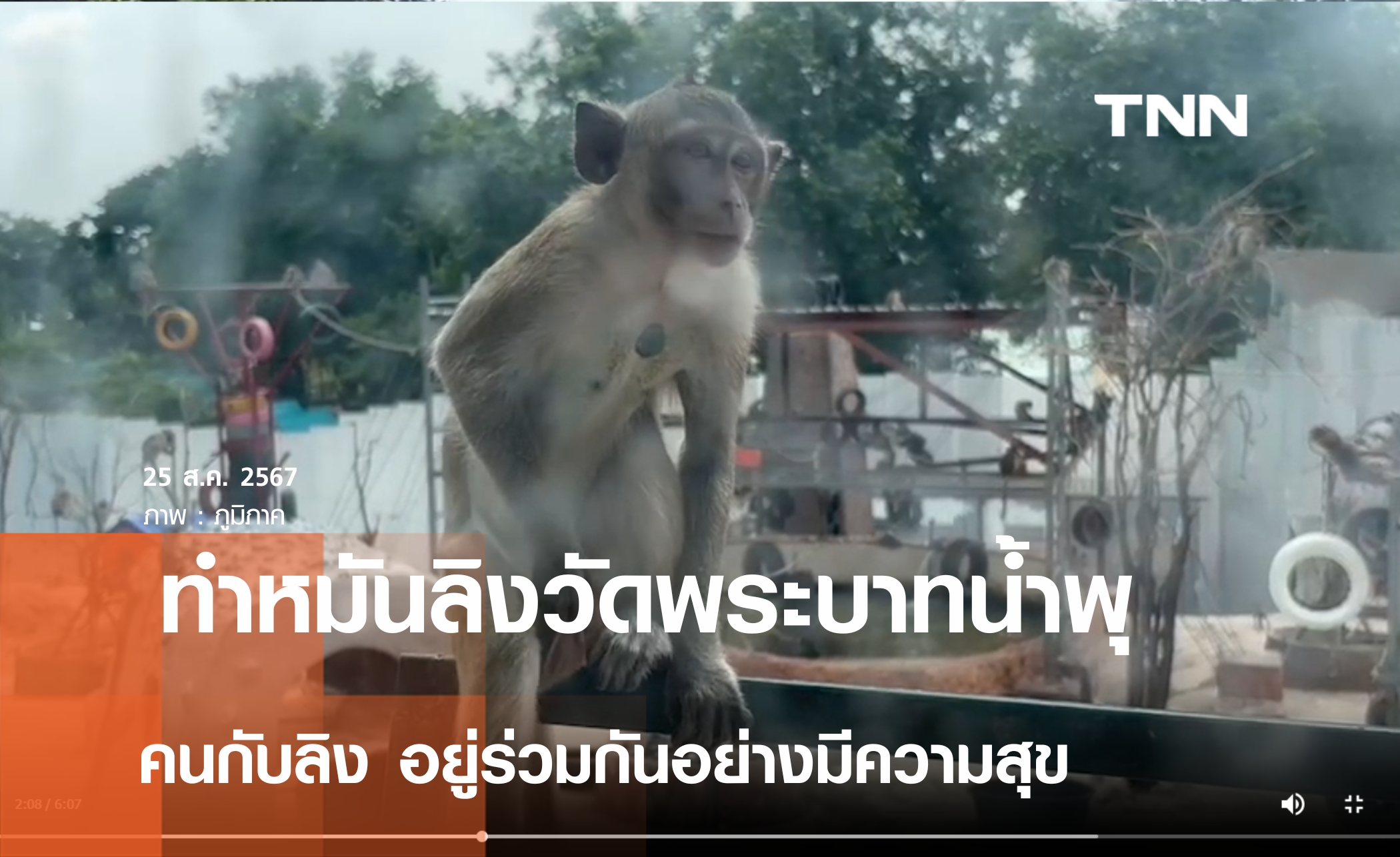 ทำหมันลิงวัดพระบาทน้ำพุ ลดประชากร