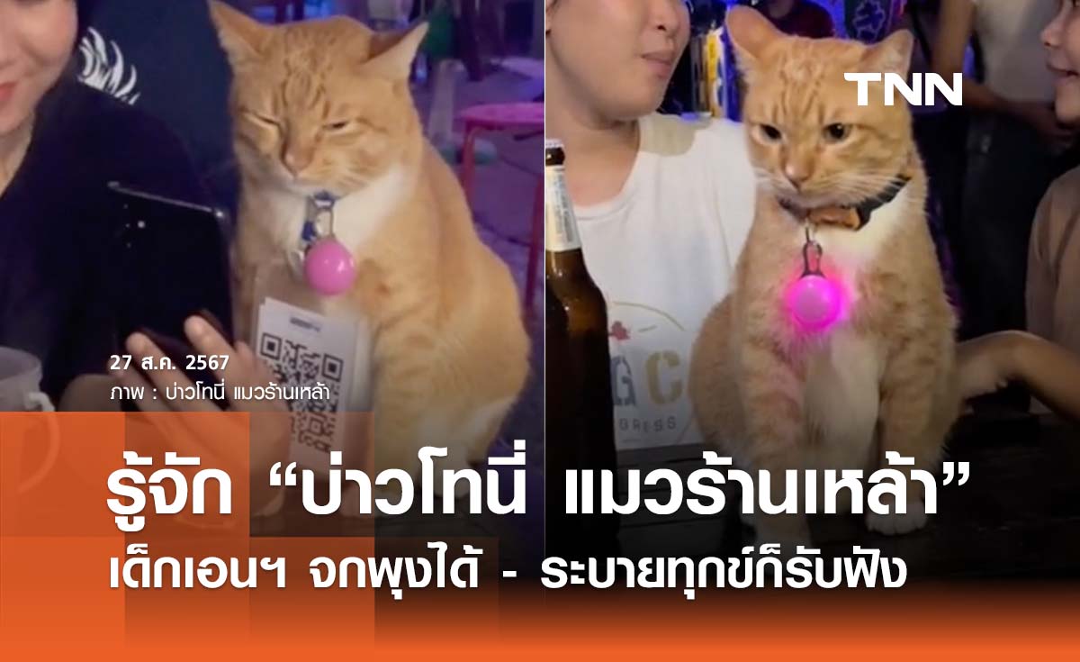 รู้จัก “บ่าวโทนี่ แมวร้านเหล้า” เด็กเอนฯ สายเหมียว จกพุงได้ - ระบายทุกข์ก็รับฟัง