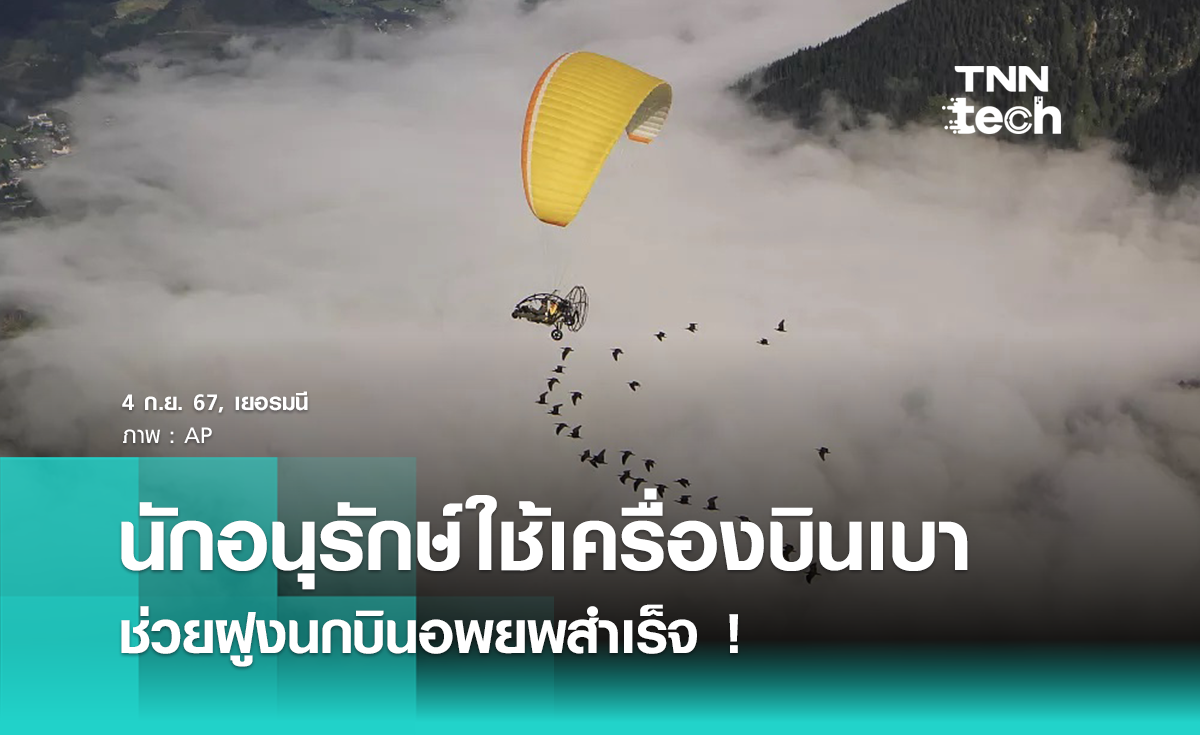 นักอนุรักษ์ใช้เครื่องบินเบา Microlight ช่วยฝูงนกบินอพยพอย่างปลอดภัย