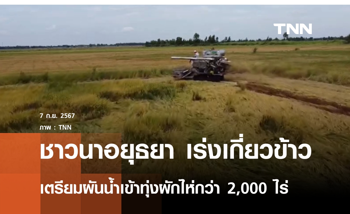 ชาวนาอยุธยาเร่งเกี่ยวข้าว เตรียมผันน้ำเข้าทุ่งผักไห่ 2,000 ไร่