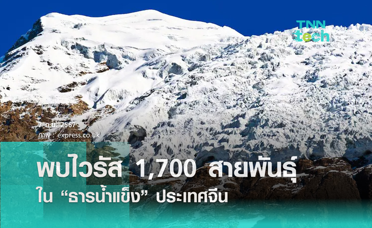 พบไวรัส 1,700 สายพันธุ์ ในธารน้ำแข็งประเทศจีน