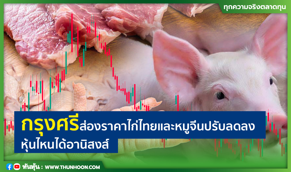 กรุงศรีส่องราคาไก่ไทยและหมูจีนปรับลดลง หุ้นไหนได้อานิสงส์