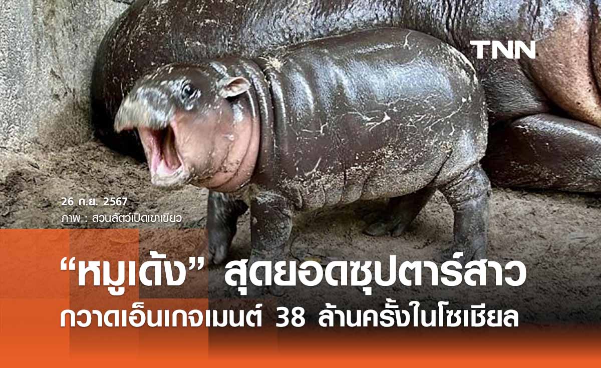 “หมูเด้ง” กวาดเอ็นเกจเมนต์  38 ล้านครั้ง! ได้ TikTok เป็นป๋าดันจนดัง