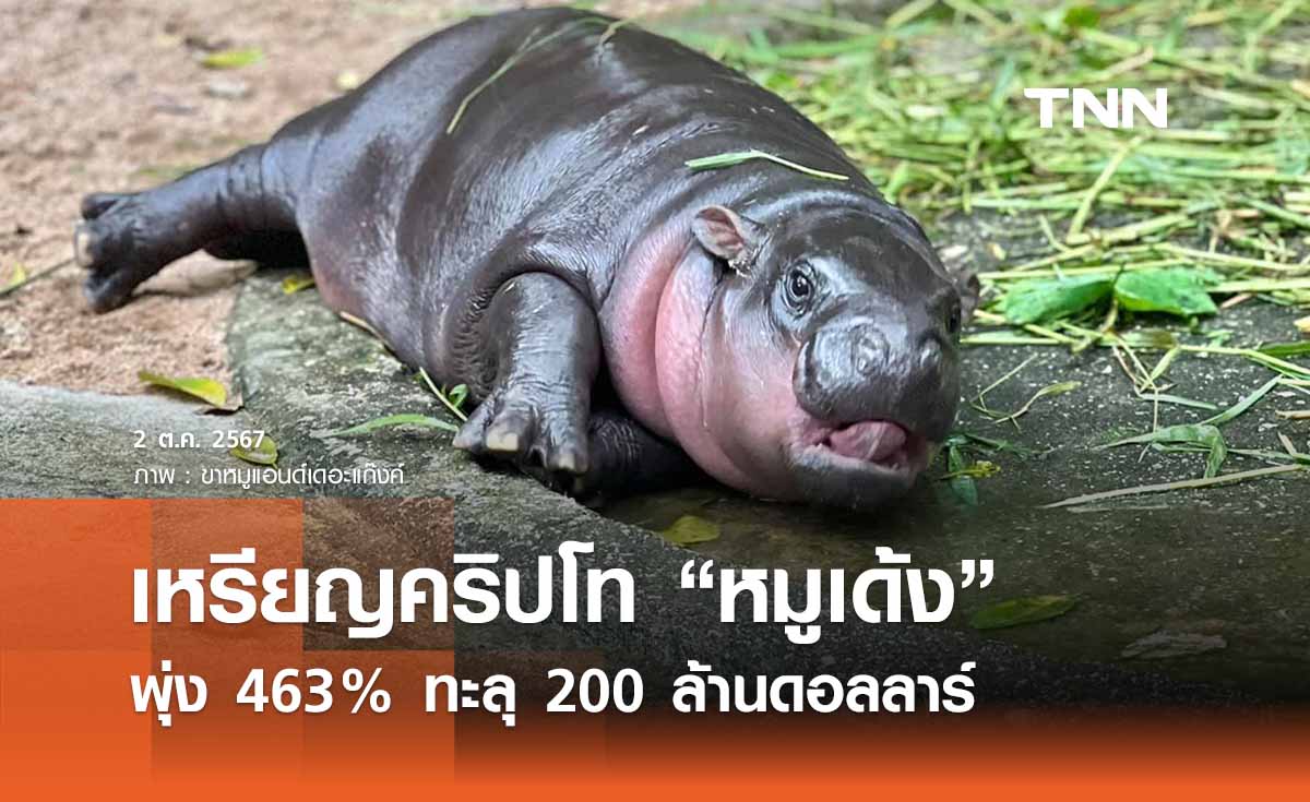 เหรียญคริปโท “หมูเด้ง” พุ่ง 463% ทะลุ 200 ล้านดอลลาร์