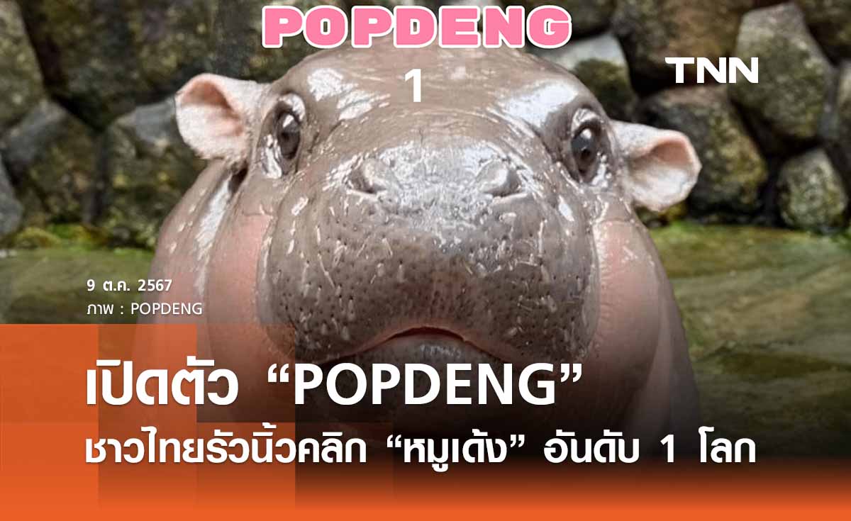 เปิดตัว “POPDENG” รวมพลังชาวไทยรัวนิ้วคลิก “หมูเด้ง” ติดอันดับ 1 โลก