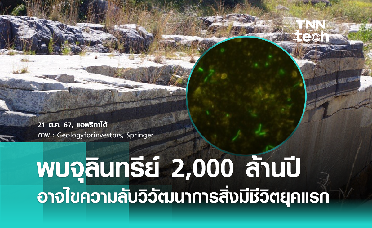 พบจุลินทรีย์มีชีวิตอายุ 2,000 ล้านปี อาจไขความลับวิวัฒนาการสิ่งมีชีวิตบนโลกยุคแรก