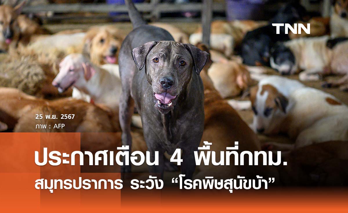 กทม. ประกาศเตือน 4 พื้นที่กรุงเทพฯ - สมุทรปราการ ระวังพิษสุนัขบ้า ห้ามจับสัตว์จรจัด