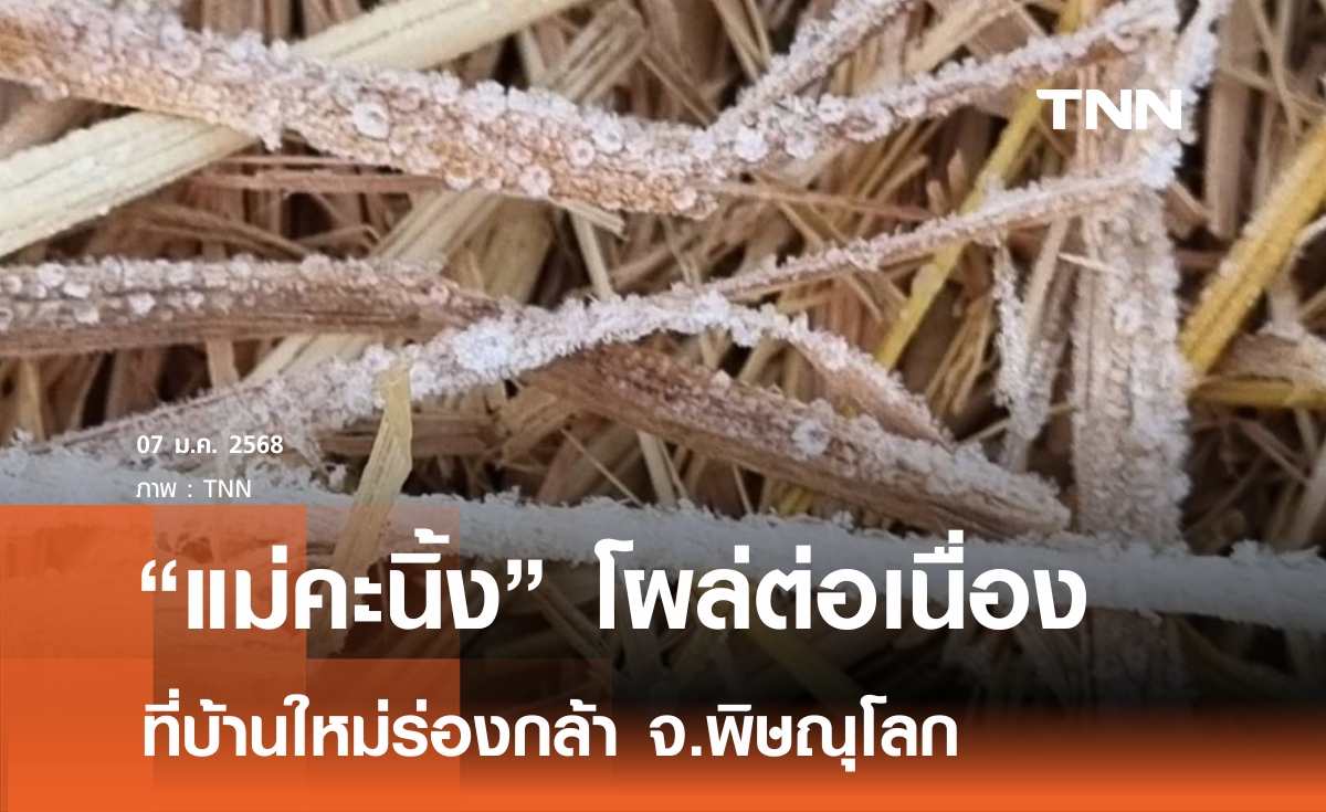 "แม่คะนิ้ง" บ้านใหม่ร่องกล้า 0 องศาฯ