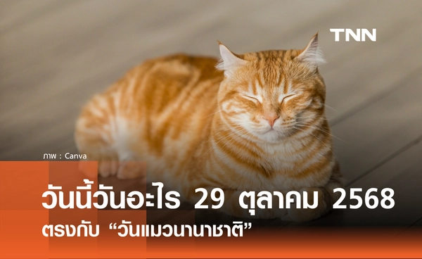 วันนี้วันอะไร วันที่ 29 ตุลาคม 2568 วันแมวนานาชาติ